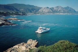 SUMMER CRUISES in Hermanus